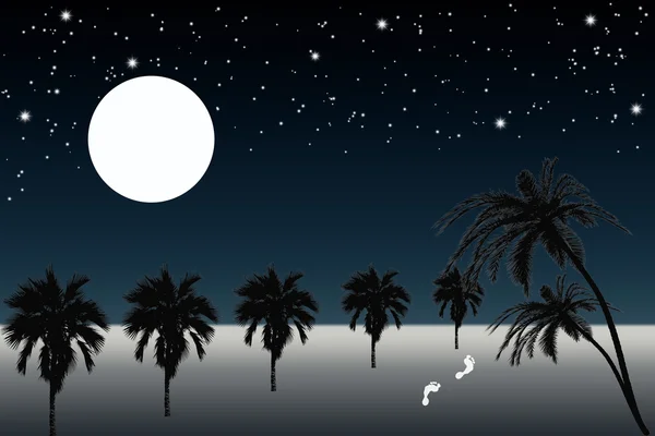 Palmy i księżyc w nocy — Zdjęcie stockowe