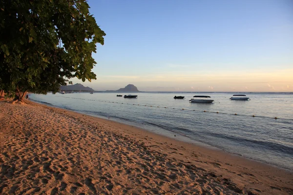 stock image Beach in Mauritius