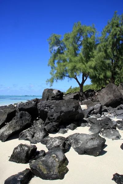 Mauritius landscape — Stock Photo, Image
