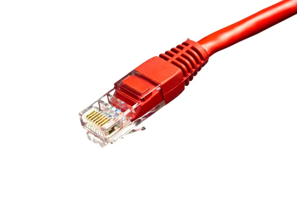 Rode netwerk plug op wit — Stockfoto