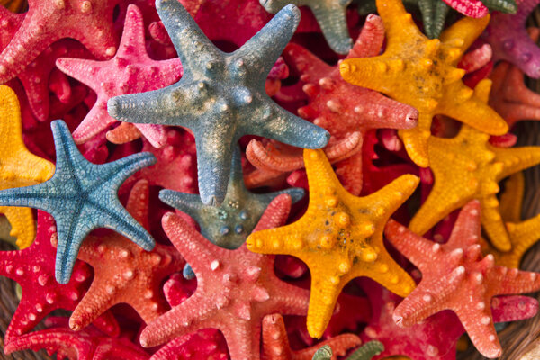 Colorful starfish background