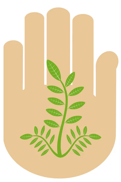 Hand and tree — Stock Vector