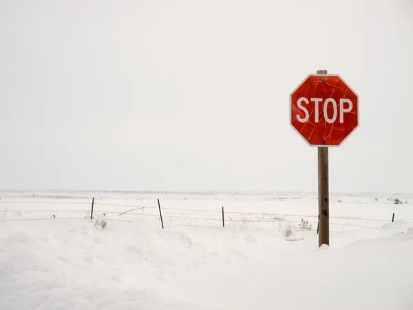 Stopbord in de winter — Stockfoto