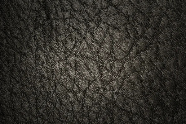 Luxurious leather — Stock Photo, Image
