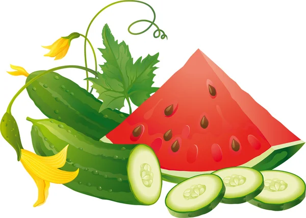 Plakjes komkommer en watermeloen — Stockvector