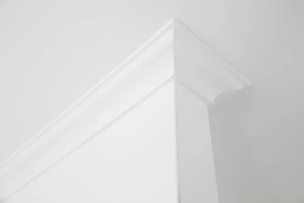 Beyaz korniş — Stok fotoğraf