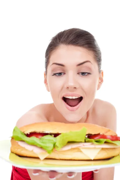 What a big sandvich — Stock Photo, Image