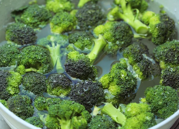 Brokoli dalam air — Stok Foto