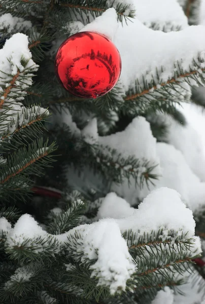 Ball shaped decoration on snowed pine tree — Zdjęcie stockowe