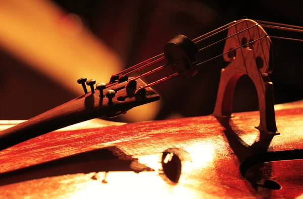 Detail van een klassieke cello — Stockfoto