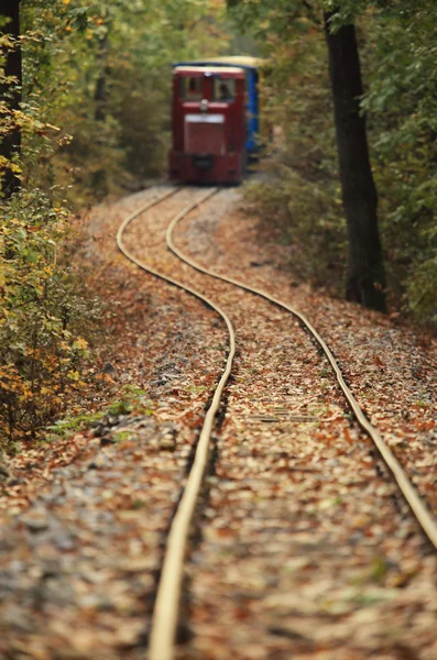 Vía férrea cubierta de hojas caídas en otoño — Foto de Stock