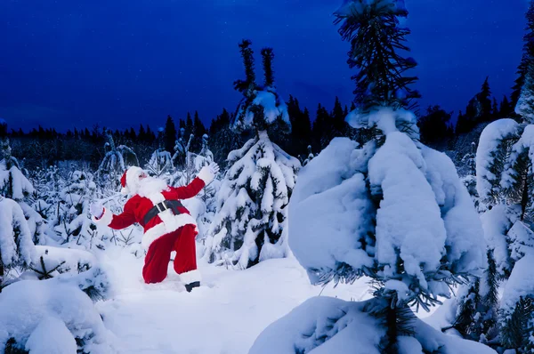 Surpreendido Pai Natal na floresta de inverno — Fotografia de Stock