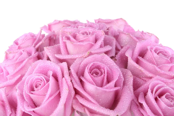Csokor Rózsa felett fehér — Stock Fotó