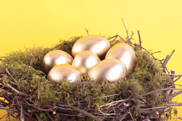 Zlatá vejce v ptačí hnízdo nad žlutá — Stock fotografie