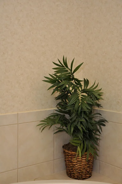 Τεχνητό φυτό σε μοντέρνο μπάνιο — Φωτογραφία Αρχείου