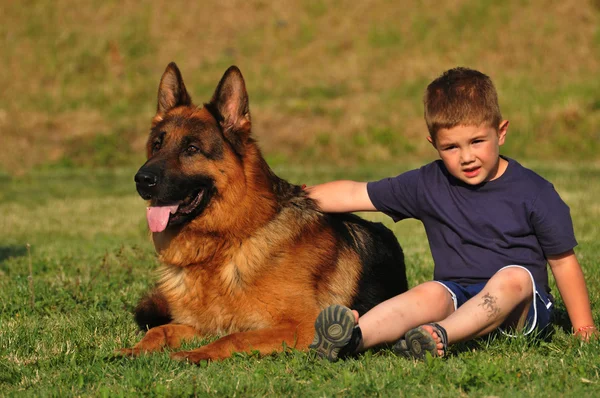 Αγόρι με έναs Γερμανόs shepherd — Φωτογραφία Αρχείου