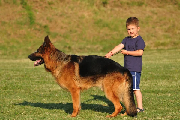 德国牧羊犬的男孩 — 图库照片