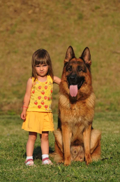 Liten glad flicka med hund — Stockfoto