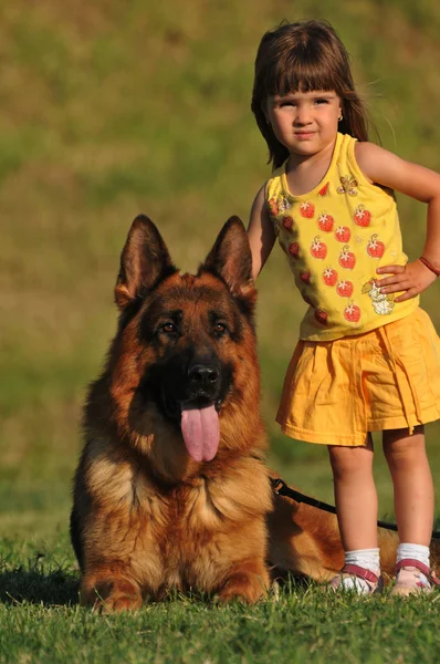 Маленька щаслива дівчинка з собакою — стокове фото