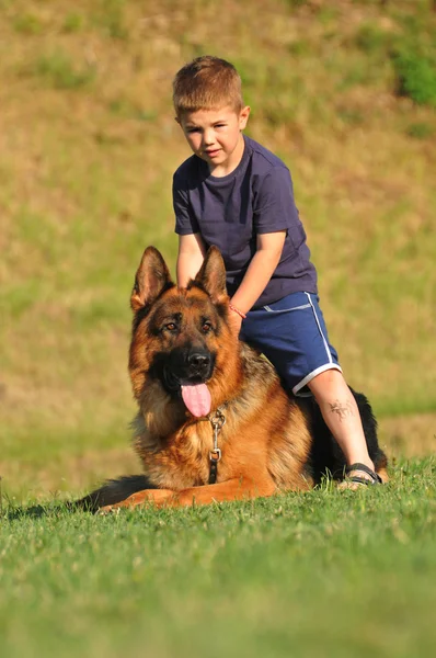 Boy with a German Shepherd — Stock Photo, Image