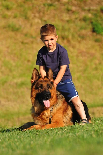 Boy with a German Shepherd — Stock Photo, Image