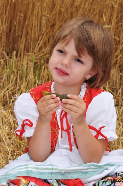 Stock image Beautiful little girl in the Hungarian national costume