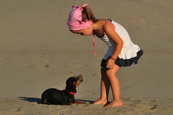Красивая маленькая девочка играет и прыгает на пляже с собакой — стоковое фото
