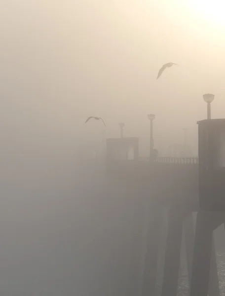 Сделка пирс с туманом и чайки — стоковое фото