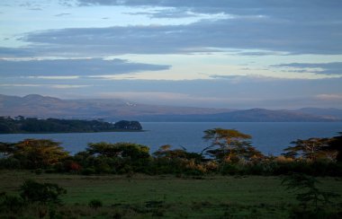 Lake Naivasha Sunrise clipart