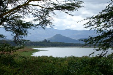 View across Lake Naivasha clipart