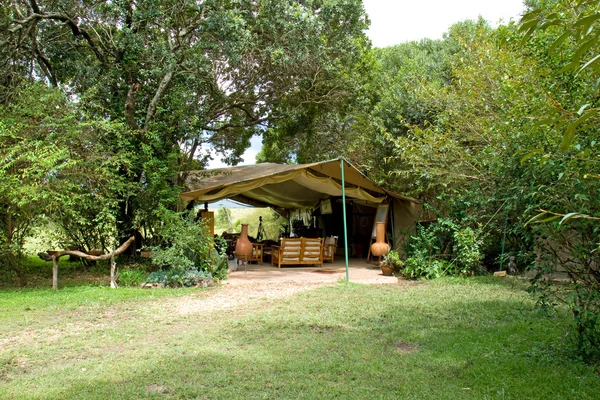 Masai Mara Camp lounge — Stock Photo, Image