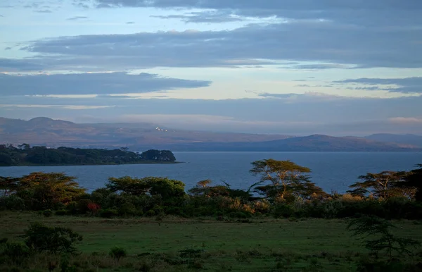 Lac Naivasha Lever du soleil — Photo