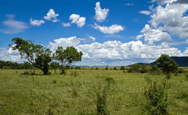 Bekijken in masai mara aitong heuvels — Stockfoto