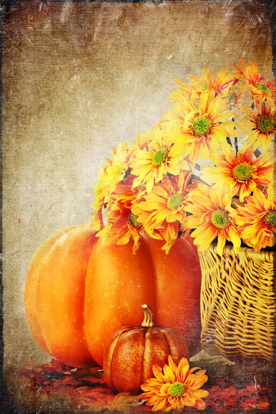 Autumn Background — Stock Photo, Image