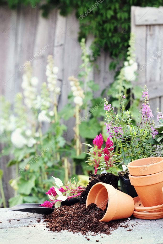 Preparing Flower Pots Stock Photo By, How To Prepare Outdoor Pots For Planting