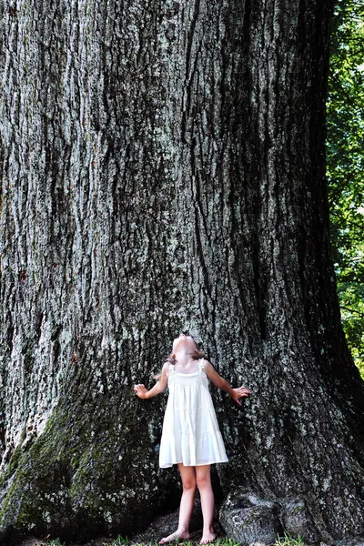 Ребенок стоит под большим деревом — стоковое фото
