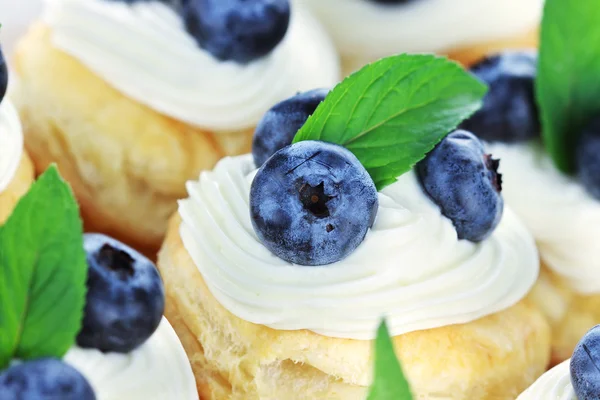 Blåbär vaniljsås tårtor — Stockfoto