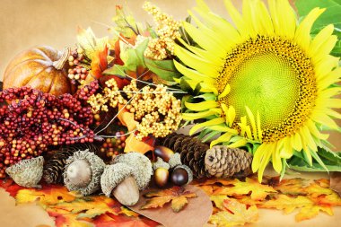 Autumn Display clipart