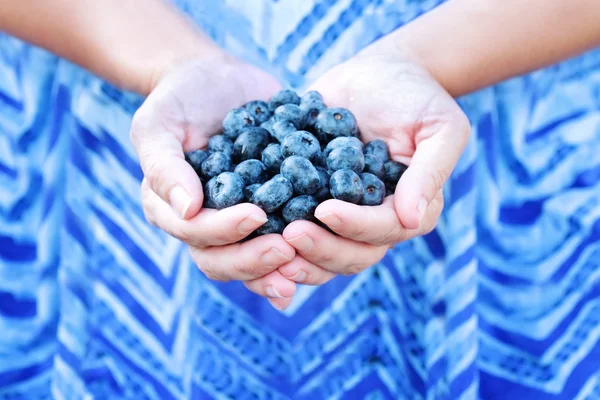 Woman Holding Blueberries — Stock Photo, Image