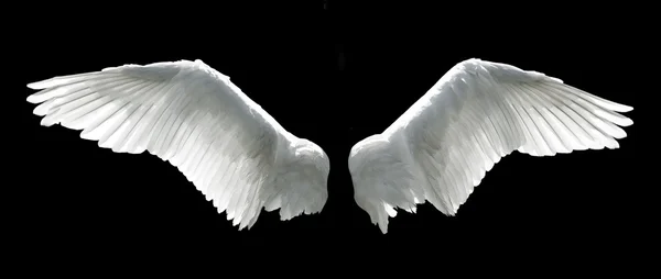 Engel vleugels — Stockfoto