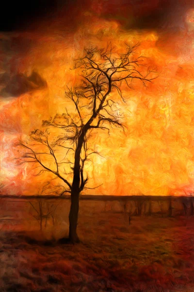 Мистецький гранжевий пейзаж з самотнім сухим деревом — стокове фото
