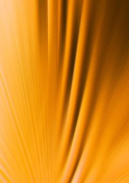 Fundo laranja abstrato — Fotografia de Stock