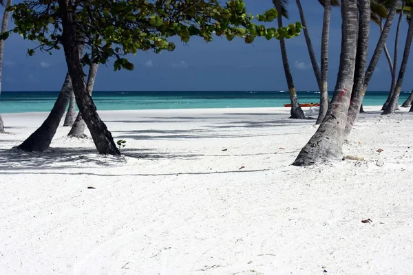 Perfecto paisaje de playa de arena blanca —  Fotos de Stock