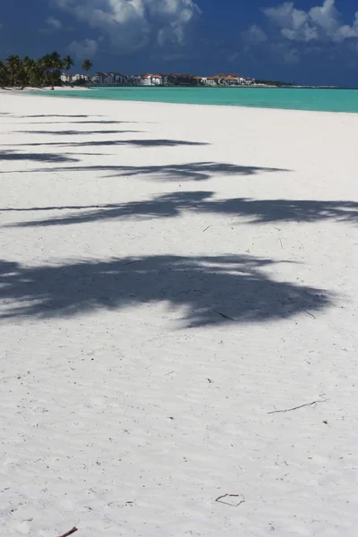 Orörd vit sandstrand kusten landskap — Stockfoto