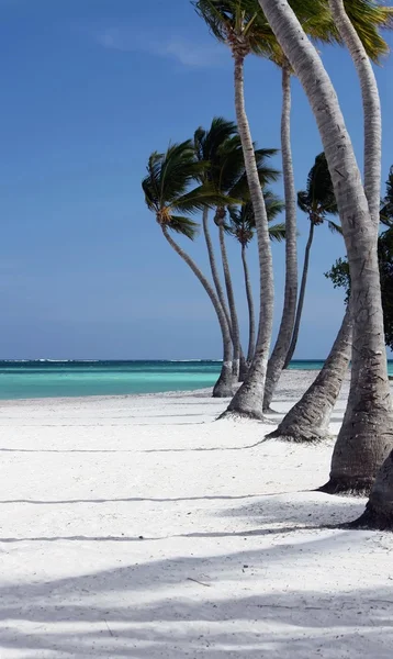 Perfektní pláž s bílým pískem — Stock fotografie