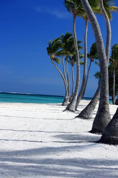 Perfektní pláž s bílým pískem a nakloněný horizont — Stock fotografie