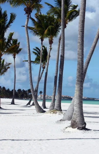 Пляж с белым песком — стоковое фото