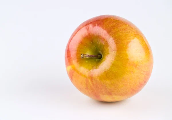 En enda fuji äpple — Stockfoto