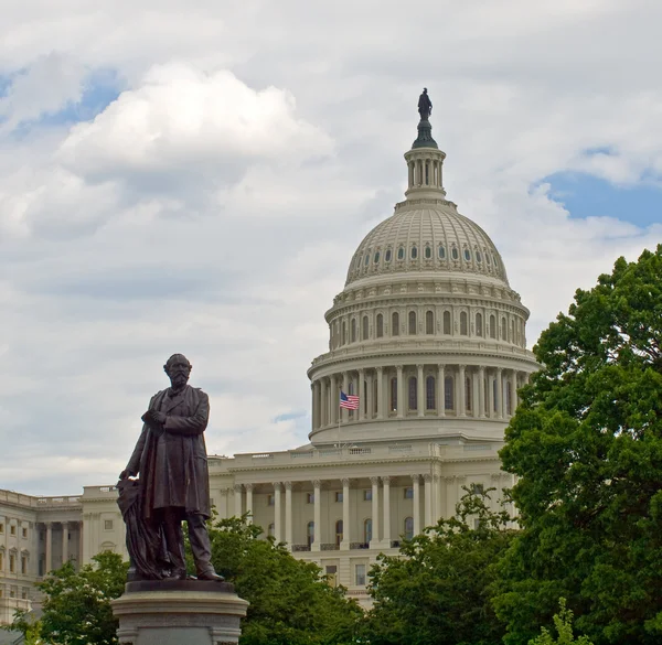 Vereinigte Staaten Hauptstadtgebäude in Washington DC mit amerikanischer Flagge und Stat — Stockfoto