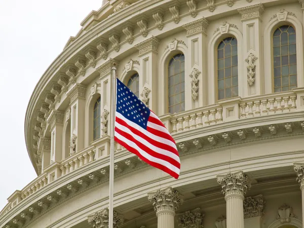 United States Capitol Building i Washington DC med amerikansk flagga Royaltyfria Stockbilder